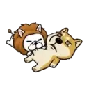 Perritos Cute  - 6 Mov.1712 12