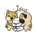 Perritos Cute  - 6 Mov.1712 16