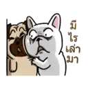 Perritos Cute  - 6 Mov.1712 19