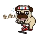 Perritos Cute  - 6 Mov.1712 13