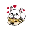 Perritos Cute  - 6 Mov.1712 20