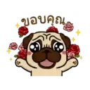 Perritos Cute  - 6 Mov.1712 25