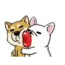 Perritos Cute  - 6 Mov.1712 27
