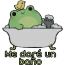 Ranita 24