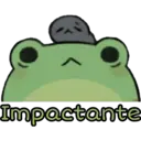 Ranita 11