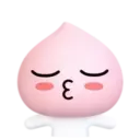 Kakao Friends 11