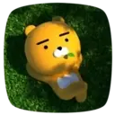 Kakao Friends 14
