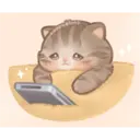 Kapebeans Cats 3 6