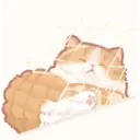 Kapebeans Cats 1