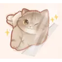Kapebeans Cats 2