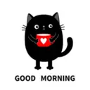 GOOD MORNING