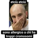Michele 1.1 6