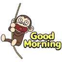 Morning 8