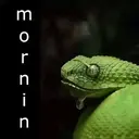 Morning 2