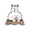 Mung Bunny 14