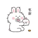 Mung Bunny 9
