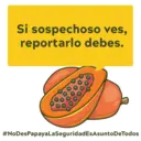 ¡No des papaya! 4