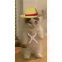 one piece 10