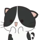 Oreo The Kitten 6