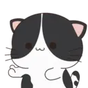Oreo The Kitten 5