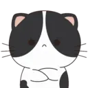 Oreo The Kitten 1