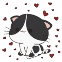 Oreo The Kitten 4