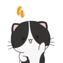 Oreo The Kitten 2