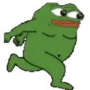 pepe 19