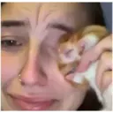 Reaction 1.0 17