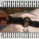 AHHHHHHHHH
HHHHHHHHHO