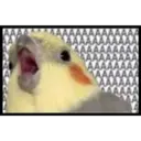 BAAAAAAAAA