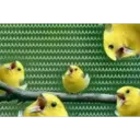 AAAAAAA
AAAAAA
AAAAA
AAA
AA
AAAAAAAA
AAA
VAA
ААА
АААА
AAAAAAAAAAA
AAA
AA
AAAA
AAAAA
AAAA
AAA
AAA
AA
AAAAAAAAA
AAAAAAAA
ААААА
AAAAAAAA
AAAA
АААА
AA