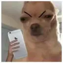 Reaction 4.0 19