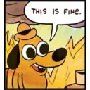 THIS IS FINE.