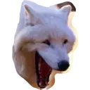Reaction 9.0 17