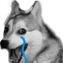 Reaction 11.0 11