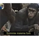 Scimmie insieme forti.