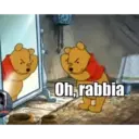 Ballo
P
Oh, rabbia