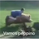Vamos peppino