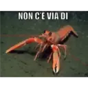 Reaction 14.0 15