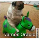 vamos Orácio
NÃO ENTRE AKI