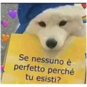 Se nessuno è
perfetto perché
tu esisti?