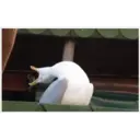 Reaction 16.0 25
