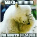 Reaction 17.0 7