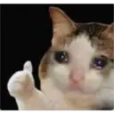 Reaction 17.0 5