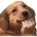 Reaction 17.0 16