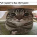 Reaction 17.0 25