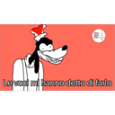 Snee
HEDINA
Le voci mi hanno detto di farlo