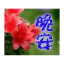 閃亮長輩圖 16