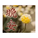閃亮長輩圖 24